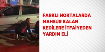 22378209342746830811