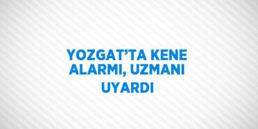 22384311362203126592tasarimli