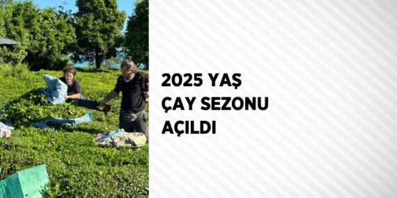 2025 YAŞ ÇAY SEZONU AÇILDI