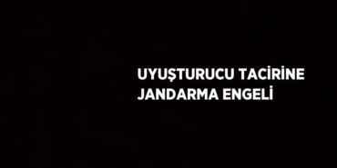 22386281732925228303