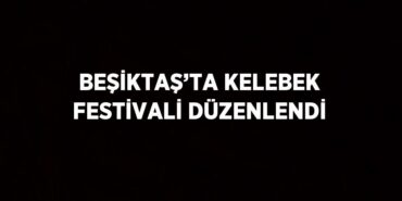 22387256272818921200tasarimli