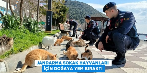 JANDARMA SOKAK HAYVANLARI İÇİN DOĞAYA YEM BIRAKTI
