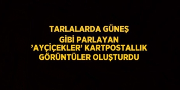 22390272112325927592tasarimli