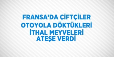 22392278732564327677tasarimli