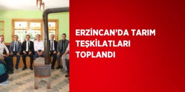 22394292112929425120