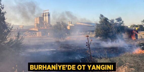 Burhaniye’de ot yangını