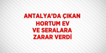 22403213772516324757tasarimli