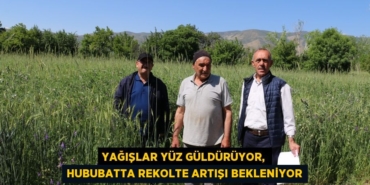 22418271362184025352tasarimli