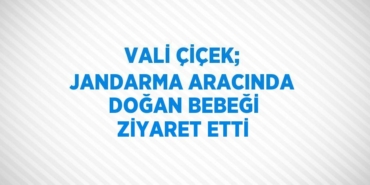 22418280152524320451tasarimli