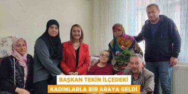 22418310133035725339tasarimli