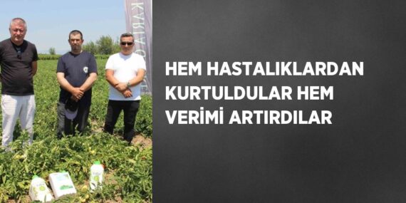 HEM HASTALIKLARDAN KURTULDULAR HEM VERİMİ ARTIRDILAR