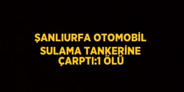 22429270702056424827tasarimli