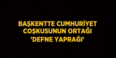 22431246602901820463tasarimli