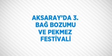 22441288062133122955tasarimli