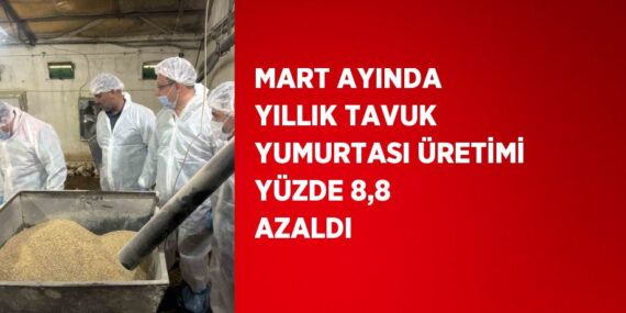 MART AYINDA YILLIK TAVUK YUMURTASI ÜRETİMİ YÜZDE 8,8 AZALDI