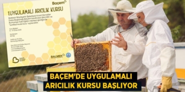 22446205582724429552tasarimli