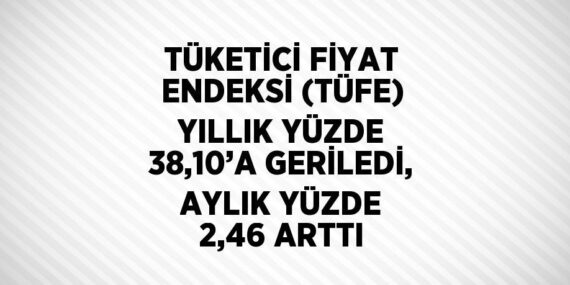 TÜKETİCİ FİYAT ENDEKSİ (TÜFE) YILLIK YÜZDE 38,10’A GERİLEDİ, AYLIK YÜZDE 2,46 ARTTI