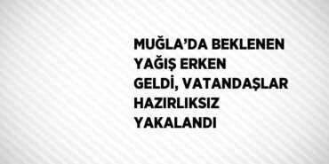 22459255482781230338