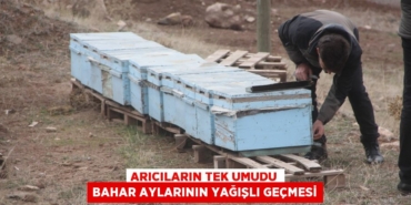 22468261252371229355tasarimli