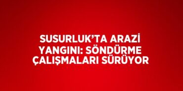 22471307452487022922tasarimli