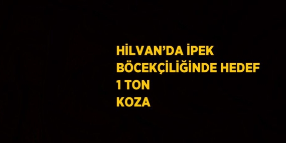 HİLVAN’DA İPEK BÖCEKÇİLİĞİNDE HEDEF 1 TON KOZA