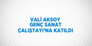 22475295232079228545tasarimli