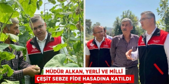 MÜDÜR ALKAN, YERLİ VE MİLLİ ÇEŞİT SEBZE FİDE HASADINA KATILDI