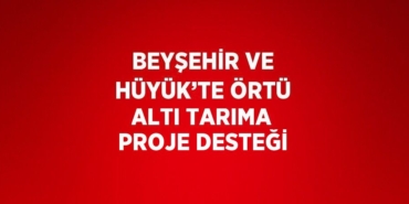 22483210902607721681tasarimli