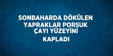 22488318892992331273tasarimli