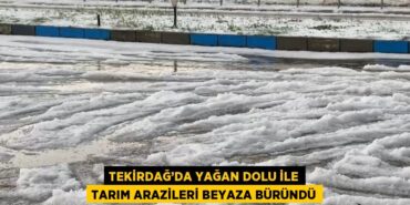 22489310262238421955tasarimli
