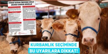 22490224052758728064tasarimli