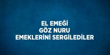 22495308692908826208tasarimli