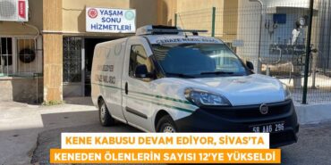 22509218892663230601tasarimli