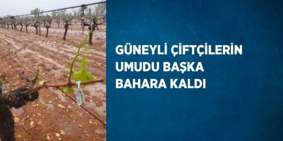 GÜNEYLİ ÇİFTÇİLERİN UMUDU BAŞKA BAHARA KALDI
