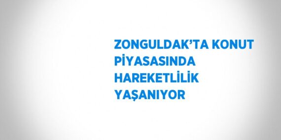 ZONGULDAK’TA KONUT PİYASASINDA HAREKETLİLİK YAŞANIYOR