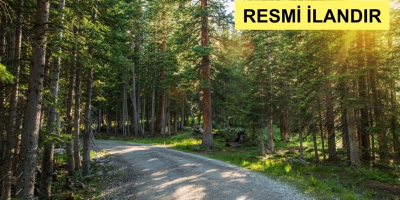 DURSUNBEY ORMAN İŞLETME MÜDÜRLÜĞÜ BAĞLI CANDERE ORMAN İŞLETME ŞEFLİĞİNDE TOPLAMDA 4+875 KM B TİPİ YENİ ORMAN YOLU YAPTIRILACAKTIR.