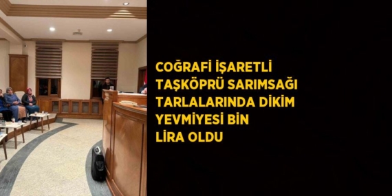 COĞRAFİ İŞARETLİ TAŞKÖPRÜ SARIMSAĞI TARLALARINDA DİKİM YEVMİYESİ BİN LİRA OLDU