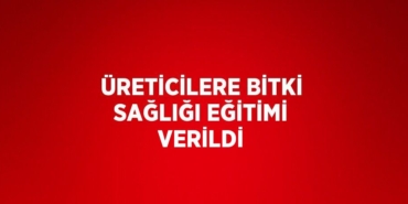 22535248942322730144tasarimli