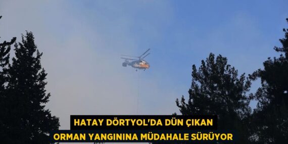 HATAY DÖRTYOL’DA DÜN ÇIKAN ORMAN YANGININA MÜDAHALE SÜRÜYOR