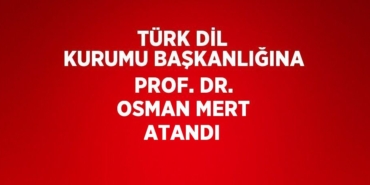22547207132908420369tasarimli