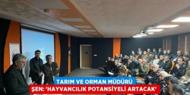 22557281172919731981tasarimli
