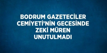 22558248172219827837tasarimli