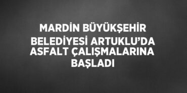 22560295092157125690tasarimli