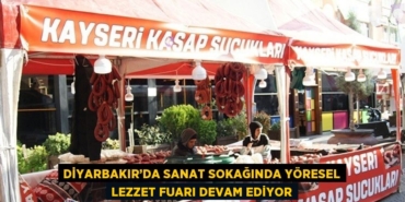 22566270352968721499tasarimli