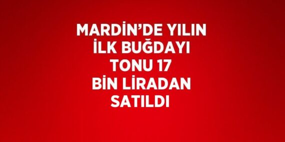 MARDİN’DE YILIN İLK BUĞDAYI TONU 17 BİN LİRADAN SATILDI