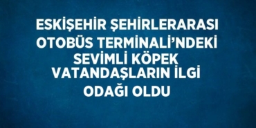 22570314562853825171tasarimli