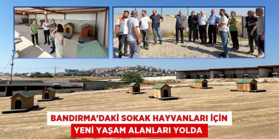 BANDIRMA’DAKİ SOKAK HAYVANLARI İÇİN YENİ YAŞAM ALANLARI YOLDA