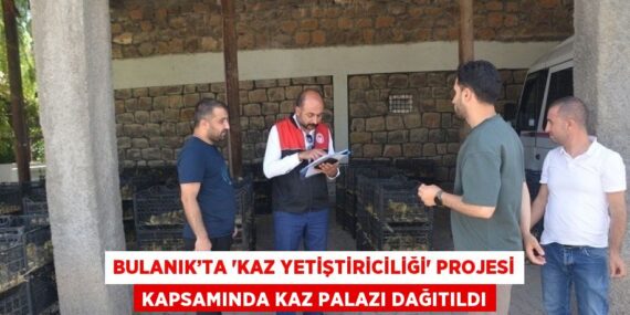 BULANIK’TA ‘KAZ YETİŞTİRİCİLİĞİ’ PROJESİ KAPSAMINDA KAZ PALAZI DAĞITILDI