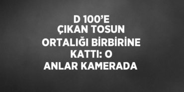 22578280452565221138tasarimli