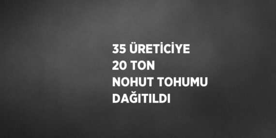 35 ÜRETİCİYE 20 TON NOHUT TOHUMU DAĞITILDI